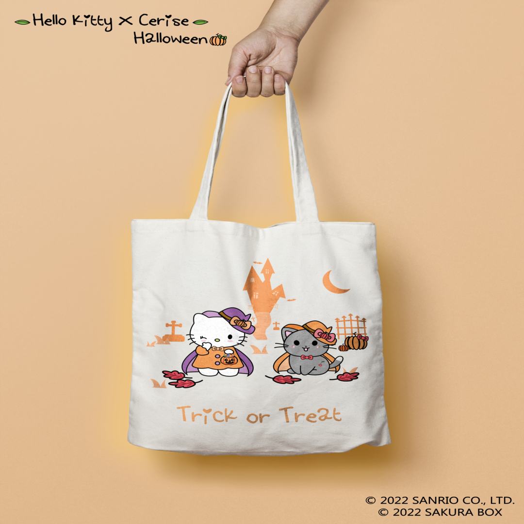 Mon Parcours : Une Passion pour le Design