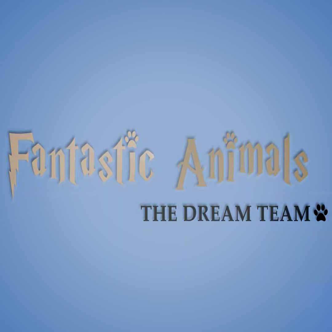 Fantastic Animals - Harry Potter After Affect Animation